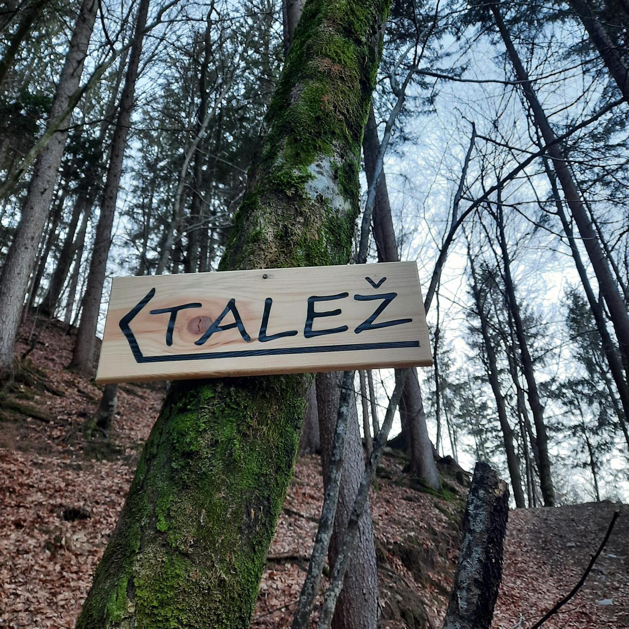 Koca V Gozdu, Forest House Near Bled Zewnętrze zdjęcie