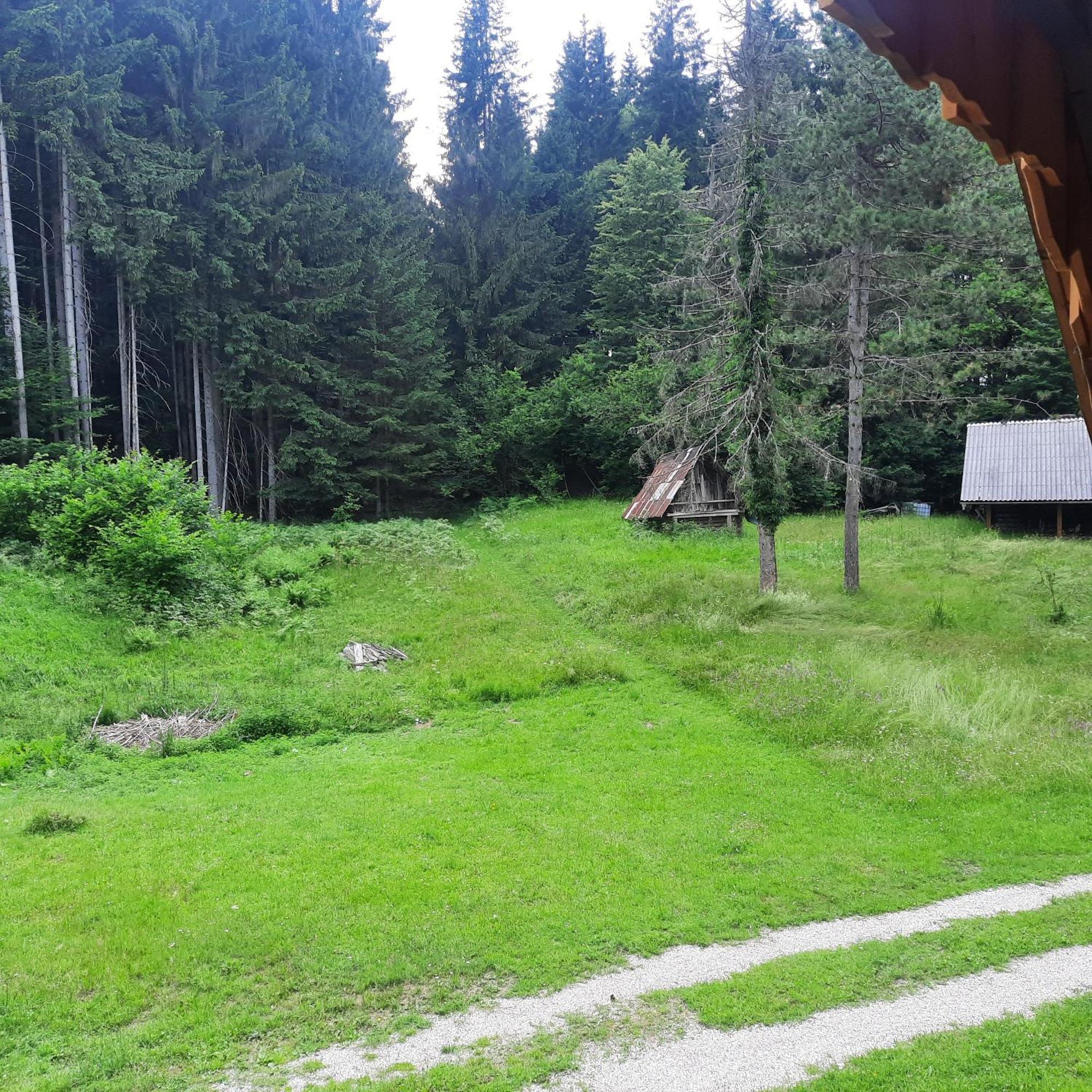 Koca V Gozdu, Forest House Near Bled Zewnętrze zdjęcie