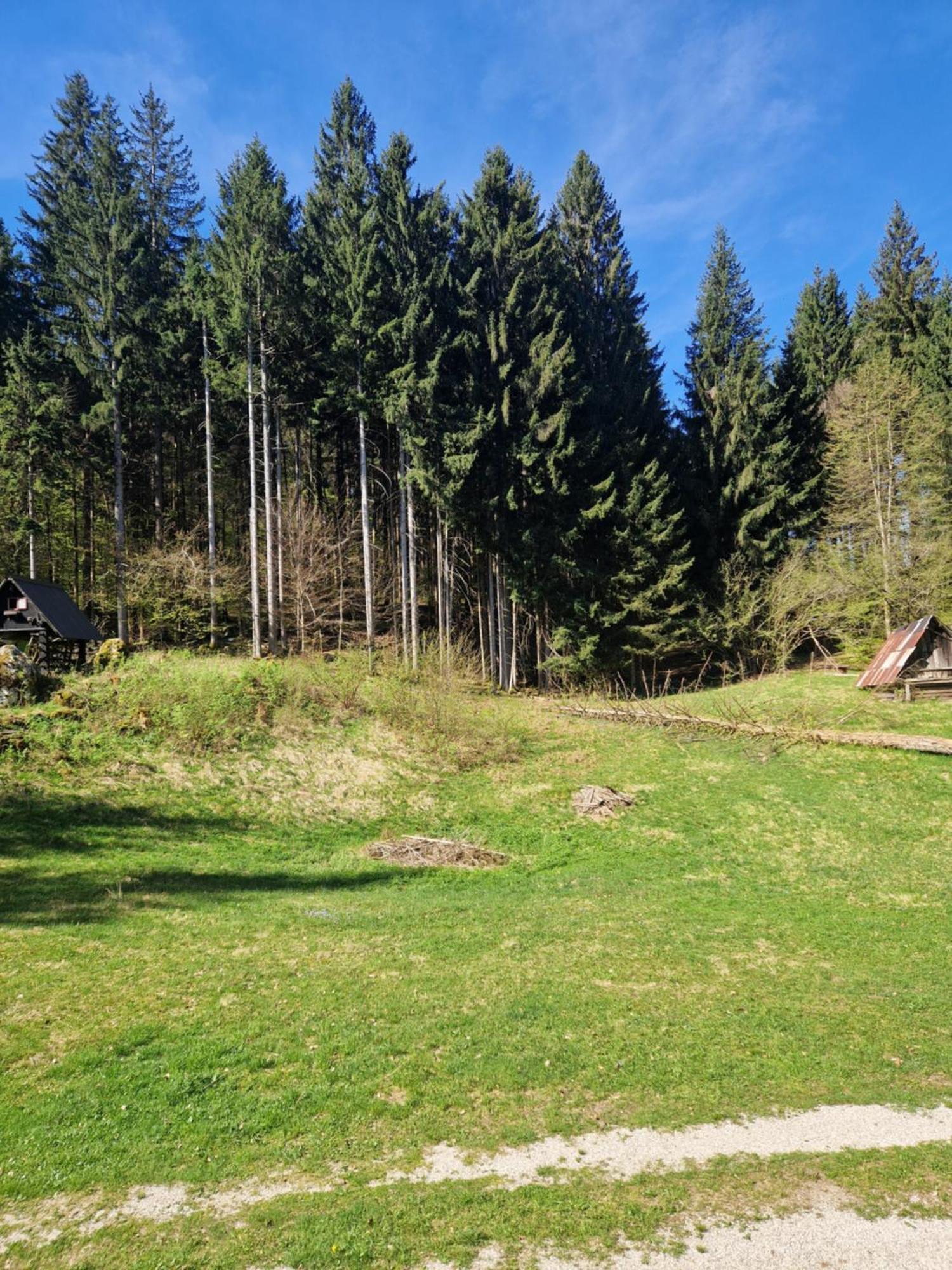 Koca V Gozdu, Forest House Near Bled Zewnętrze zdjęcie