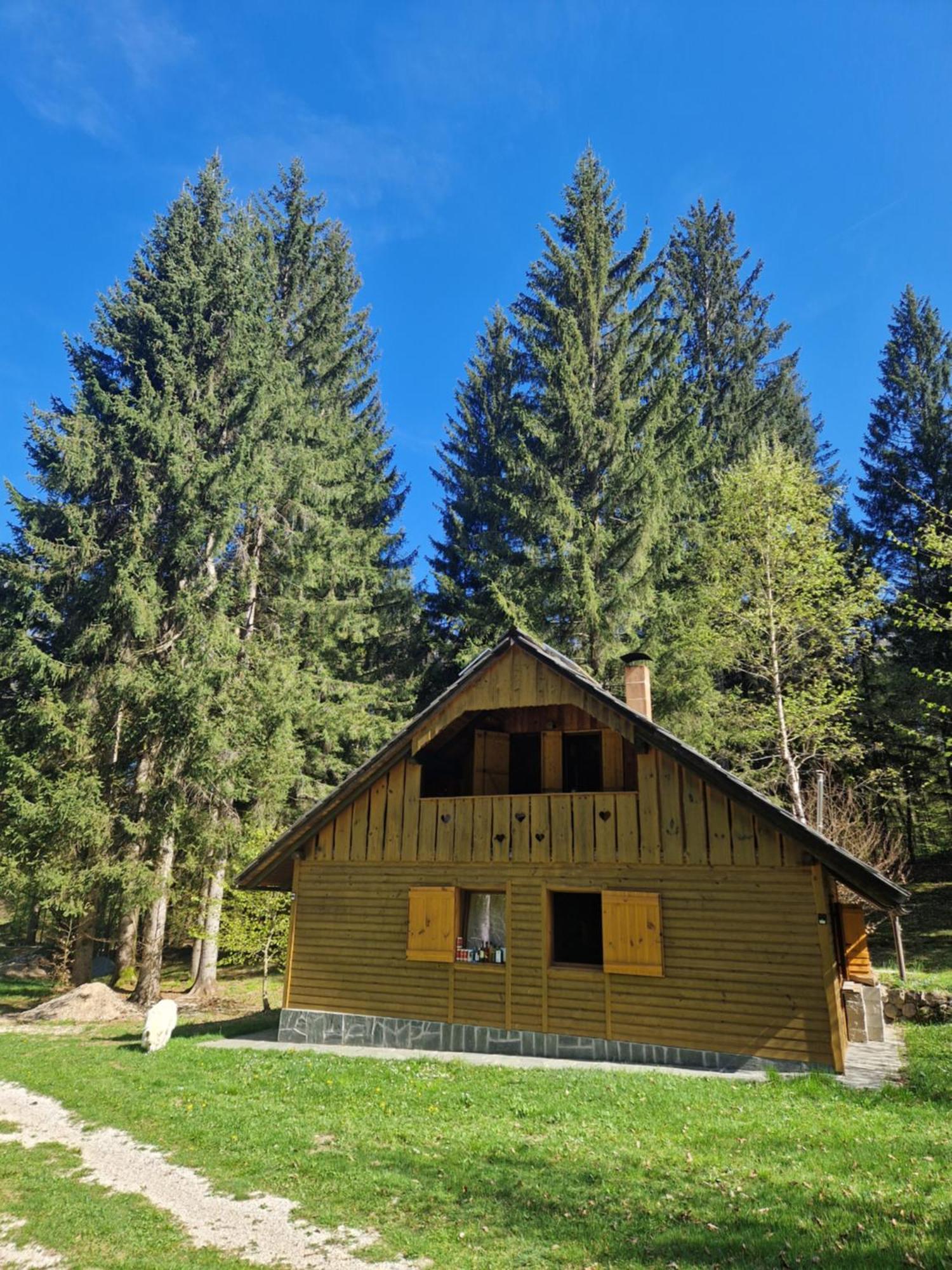 Koca V Gozdu, Forest House Near Bled Zewnętrze zdjęcie