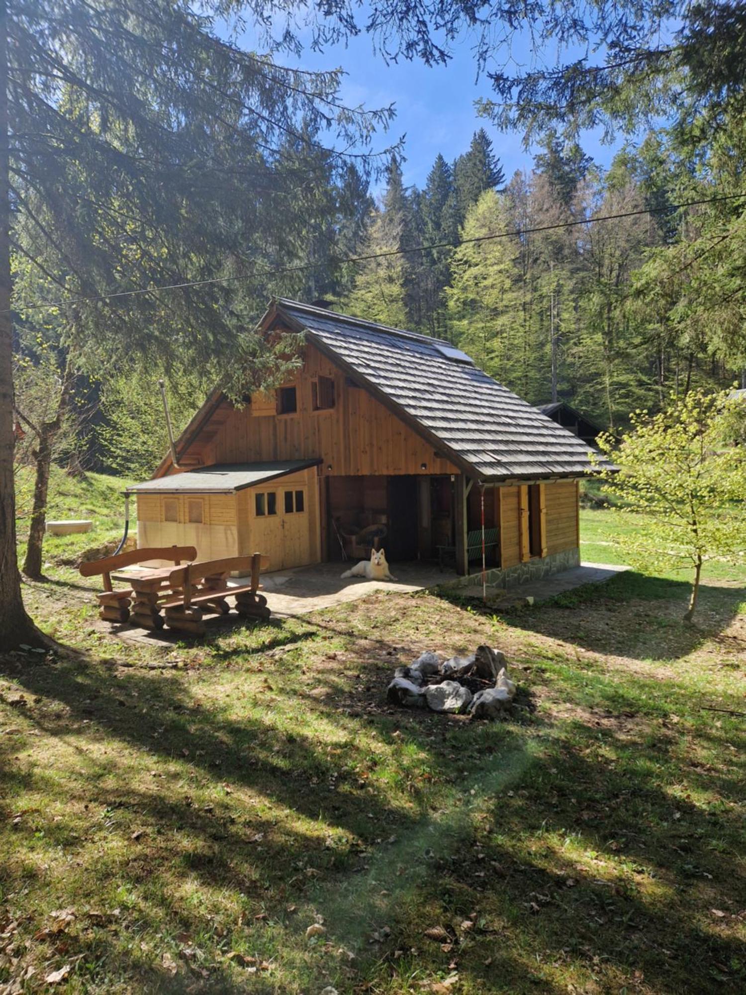 Koca V Gozdu, Forest House Near Bled Zewnętrze zdjęcie