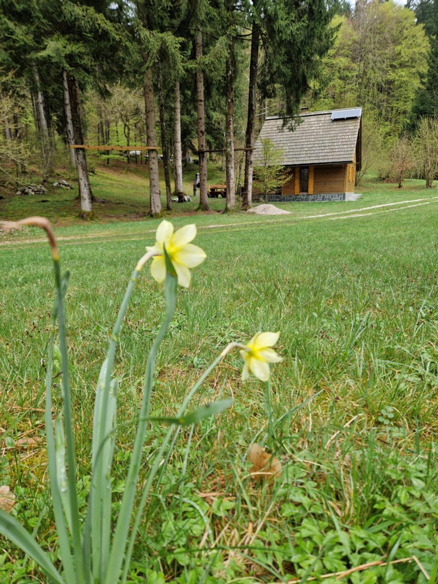 Koca V Gozdu, Forest House Near Bled Pokój zdjęcie